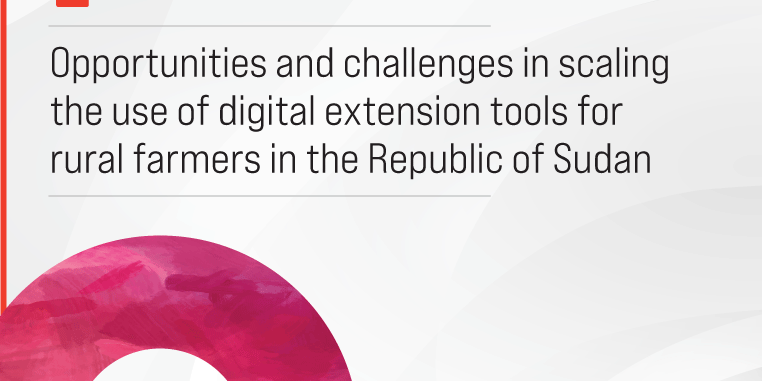 Econ_Policy_v2 Sudan case study thumbnail